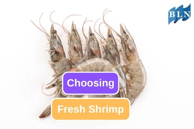 5 Tips on Choosing Fresh Shrimp